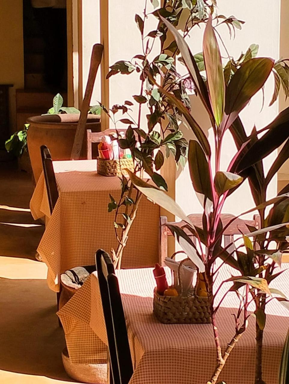 Msafini Hotel Ламу Екстериор снимка